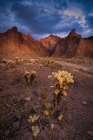 USA-Arizona-Kofa National Wildlife Area-Mountain and desert landscape Art Print